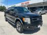 2013 BLACK Ford F-150 FX4 SuperCrew 5.5-ft (1FTFW1EF1DK) with an 5.0L V8 engine, 6-Speed Automatic transmission, located at 12182 Garland Rd, Dallas, TX, 75218, (214) 521-2040, 0.000000, 0.000000 - Photo#0