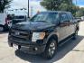 2013 BLACK Ford F-150 FX4 SuperCrew 5.5-ft (1FTFW1EF1DK) with an 5.0L V8 engine, 6-Speed Automatic transmission, located at 12182 Garland Rd, Dallas, TX, 75218, (214) 521-2040, 0.000000, 0.000000 - Photo#2