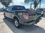 2013 BLACK Ford F-150 FX4 SuperCrew 5.5-ft (1FTFW1EF1DK) with an 5.0L V8 engine, 6-Speed Automatic transmission, located at 12182 Garland Rd, Dallas, TX, 75218, (214) 521-2040, 0.000000, 0.000000 - Photo#4