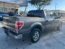 2013 GRAY Ford F-150 XLT SuperCrew 5.5-ft (1FTFW1CF9DK) with an 5.0L V8 engine, 6-Speed Automatic transmission, located at 12182 Garland Rd, Dallas, TX, 75218, (214) 521-2040, 0.000000, 0.000000 - Photo#6