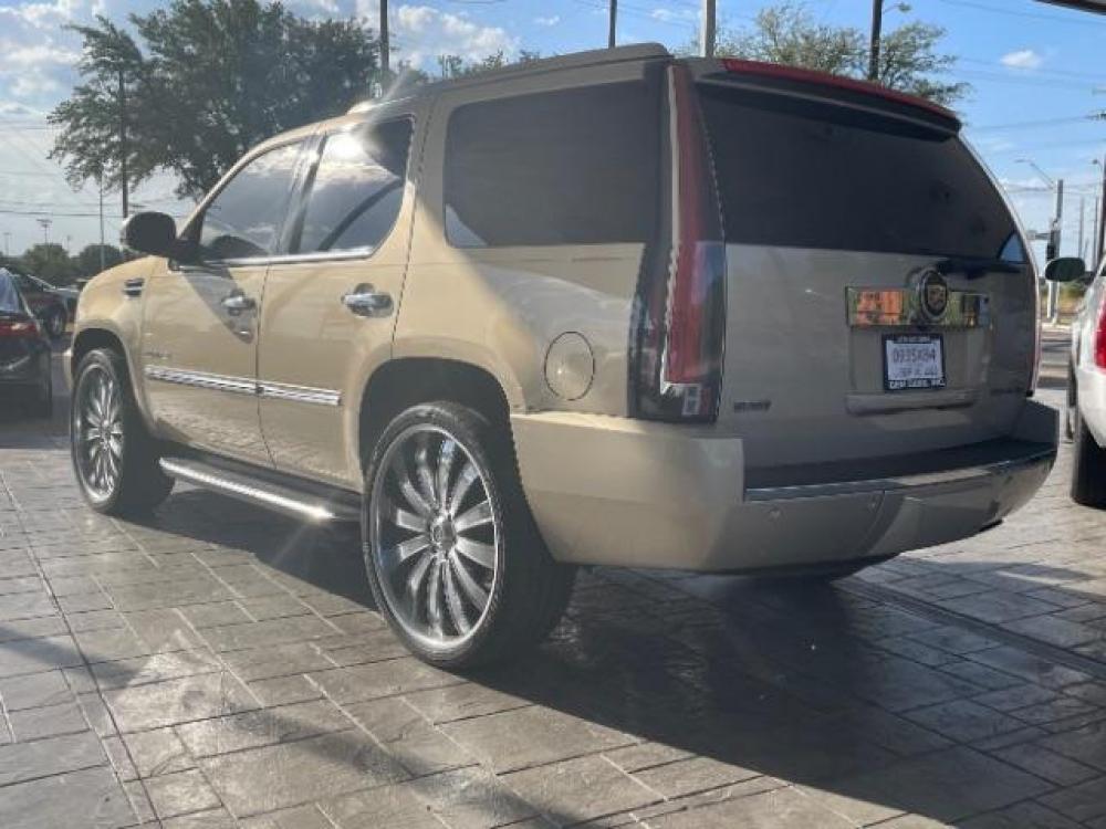 2011 Gold Mist Metallic Cadillac Escalade 2WD (1GYS3AEF6BR) with an 6.2L V8 OHV 16V FFV engine, 6-Speed Automatic transmission, located at 12182 Garland Rd, Dallas, TX, 75218, (214) 521-2040, 0.000000, 0.000000 - Photo #4