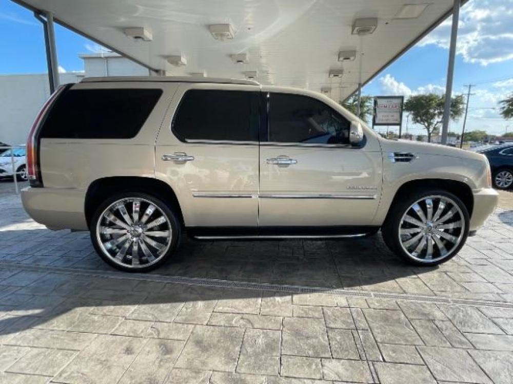 2011 Gold Mist Metallic Cadillac Escalade 2WD (1GYS3AEF6BR) with an 6.2L V8 OHV 16V FFV engine, 6-Speed Automatic transmission, located at 12182 Garland Rd, Dallas, TX, 75218, (214) 521-2040, 0.000000, 0.000000 - Photo #7