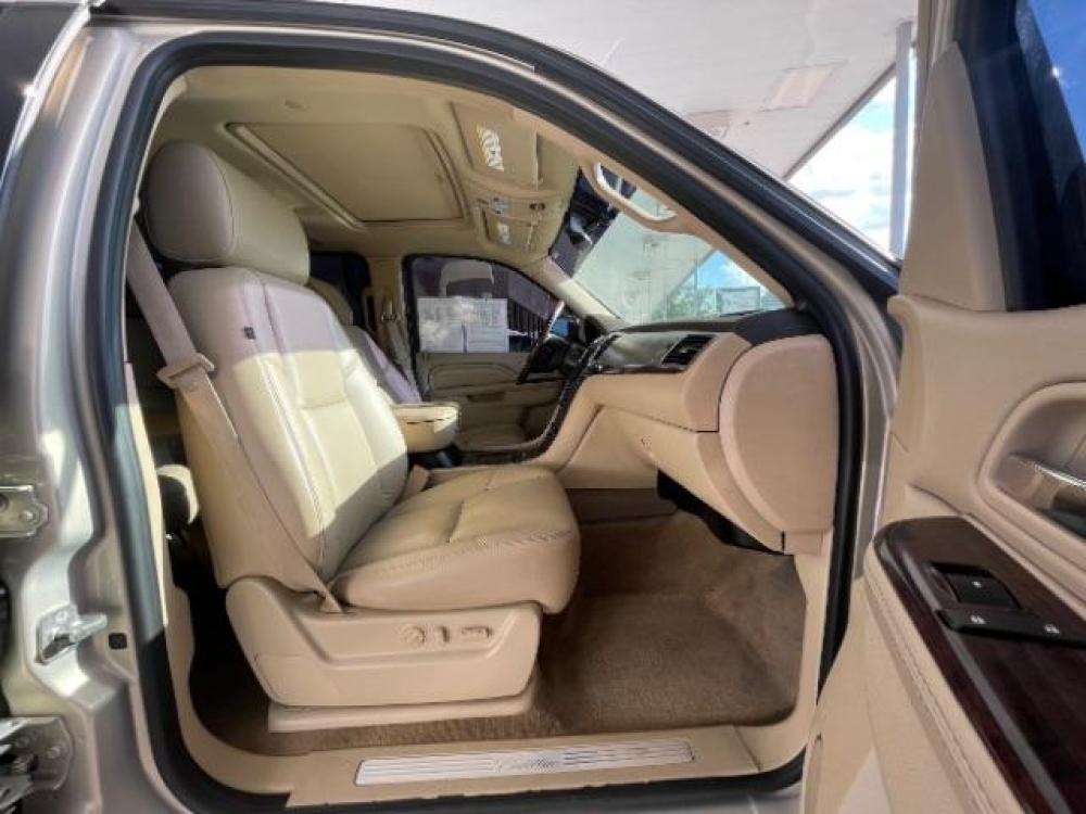 2011 Gold Mist Metallic Cadillac Escalade 2WD (1GYS3AEF6BR) with an 6.2L V8 OHV 16V FFV engine, 6-Speed Automatic transmission, located at 12182 Garland Rd, Dallas, TX, 75218, (214) 521-2040, 0.000000, 0.000000 - Photo #8