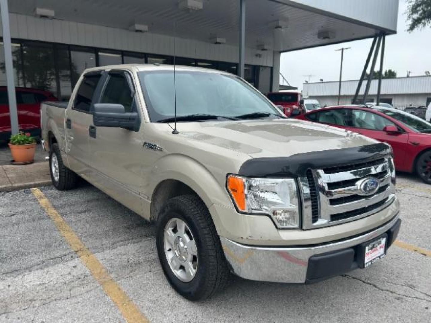 2009 Ford F-150 XLT