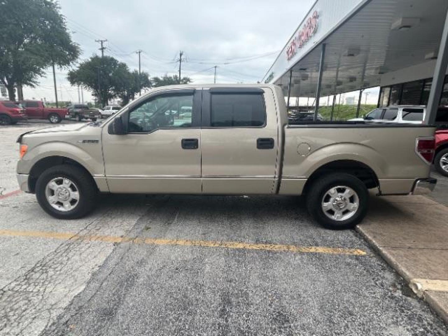 2009 Pueblo Gold Metallic /EBONY ACTIVEX SEAT MATERIAL Ford F-150 XLT SuperCrew 5.5-ft (1FTRW12879F) with an 4.6L V8 engine, Automatic transmission, located at 12182 Garland Rd, Dallas, TX, 75218, (214) 521-2040, 0.000000, 0.000000 - Photo#4