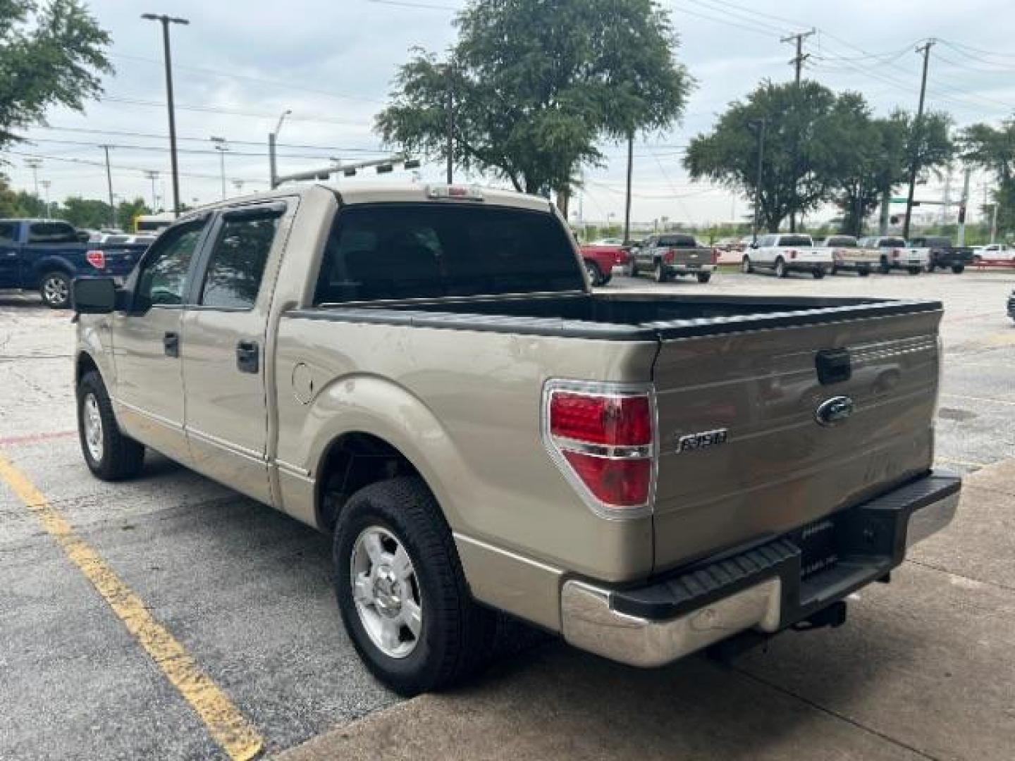 2009 Pueblo Gold Metallic /EBONY ACTIVEX SEAT MATERIAL Ford F-150 XLT SuperCrew 5.5-ft (1FTRW12879F) with an 4.6L V8 engine, Automatic transmission, located at 12182 Garland Rd, Dallas, TX, 75218, (214) 521-2040, 0.000000, 0.000000 - Photo#5