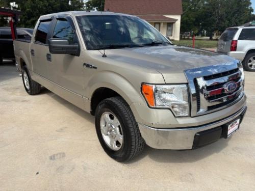 2009 Ford F-150
