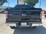 2010 Tuxedo Black Ford F-150 Lariat SuperCrew 5.5 (1FTFW1EV3AF) with an 5.4L V8 SOHC 24V FFV engine, located at 12182 Garland Rd, Dallas, TX, 75218, (214) 521-2040, 0.000000, 0.000000 - Photo#5