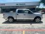 2014 Ingot Silver Metalli Ford F-150 XLT SuperCrew 5.5-ft (1FTFW1CTXEK) with an 3.5L V6 TURBO engine, 6-Speed Automatic transmission, located at 12182 Garland Rd, Dallas, TX, 75218, (214) 521-2040, 0.000000, 0.000000 - Photo#7