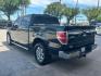 2014 Tuxedo Black Metalli /Steel Gray Ford F-150 XLT (1FTFW1CT3EF) with an 3.7L V-6 DOHC engine, Automatic transmission, located at 12182 Garland Rd, Dallas, TX, 75218, (214) 521-2040, 0.000000, 0.000000 - Photo#4