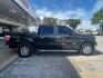 2014 Tuxedo Black Metalli /Steel Gray Ford F-150 XLT (1FTFW1CT3EF) with an 3.7L V-6 DOHC engine, Automatic transmission, located at 12182 Garland Rd, Dallas, TX, 75218, (214) 521-2040, 0.000000, 0.000000 - Photo#7
