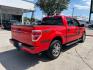 2014 Race Red Ford F-150 STX (1FTFW1CF3EF) , located at 12182 Garland Rd, Dallas, TX, 75218, (214) 521-2040, 0.000000, 0.000000 - Photo#9