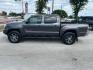 2012 Black Toyota Tacoma PreRunner V6 (5TFJU4GN4CX) with an 4L V-6 DOHC engine, located at 12182 Garland Rd, Dallas, TX, 75218, (214) 521-2040, 0.000000, 0.000000 - Photo#3