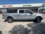 2012 Ingot Silver Metallic Ford F-150 XLT (1FTFW1ET4CK) , located at 12182 Garland Rd, Dallas, TX, 75218, (214) 521-2040, 0.000000, 0.000000 - Photo#7