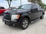 2014 Tuxedo Black Metallic /Steel Gray Ford F-150 STX (1FTEX1CM6EF) with an 3.7L V-6 DOHC engine, 6-Speed Automatic transmission, located at 12182 Garland Rd, Dallas, TX, 75218, (214) 521-2040, 0.000000, 0.000000 - Photo#2