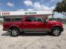2016 Ruby Red Metallic Tinted Clearcoat Ford F-150 LARIAT (1FTEW1EG7GK) with an EcoBoost 3.5L V-6 gasoline direct injection engine, located at 12182 Garland Rd, Dallas, TX, 75218, (214) 521-2040, 0.000000, 0.000000 - Photo#10