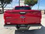2016 Race Red Ford F-150 XLT (1FTEW1CF8GK) , located at 12182 Garland Rd, Dallas, TX, 75218, (214) 521-2040, 0.000000, 0.000000 - Photo#5
