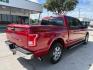 2016 Race Red Ford F-150 XLT (1FTEW1CF8GK) , located at 12182 Garland Rd, Dallas, TX, 75218, (214) 521-2040, 0.000000, 0.000000 - Photo#6