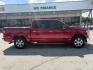 2016 Race Red Ford F-150 XLT (1FTEW1CF8GK) , located at 12182 Garland Rd, Dallas, TX, 75218, (214) 521-2040, 0.000000, 0.000000 - Photo#7