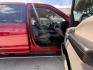 2016 Race Red Ford F-150 XLT (1FTEW1CF8GK) , located at 12182 Garland Rd, Dallas, TX, 75218, (214) 521-2040, 0.000000, 0.000000 - Photo#8