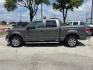 2014 Sterling Gray Metallic Ford F-150 XLT (1FTFW1CT2EK) , located at 12182 Garland Rd, Dallas, TX, 75218, (214) 521-2040, 0.000000, 0.000000 - Photo#3