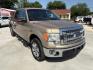 2014 Pale Adobe Metallic Ford F-150 XLT (1FTFW1CF1EK) with an 5.0L V8 engine, located at 12182 Garland Rd, Dallas, TX, 75218, (214) 521-2040, 0.000000, 0.000000- Photo#0