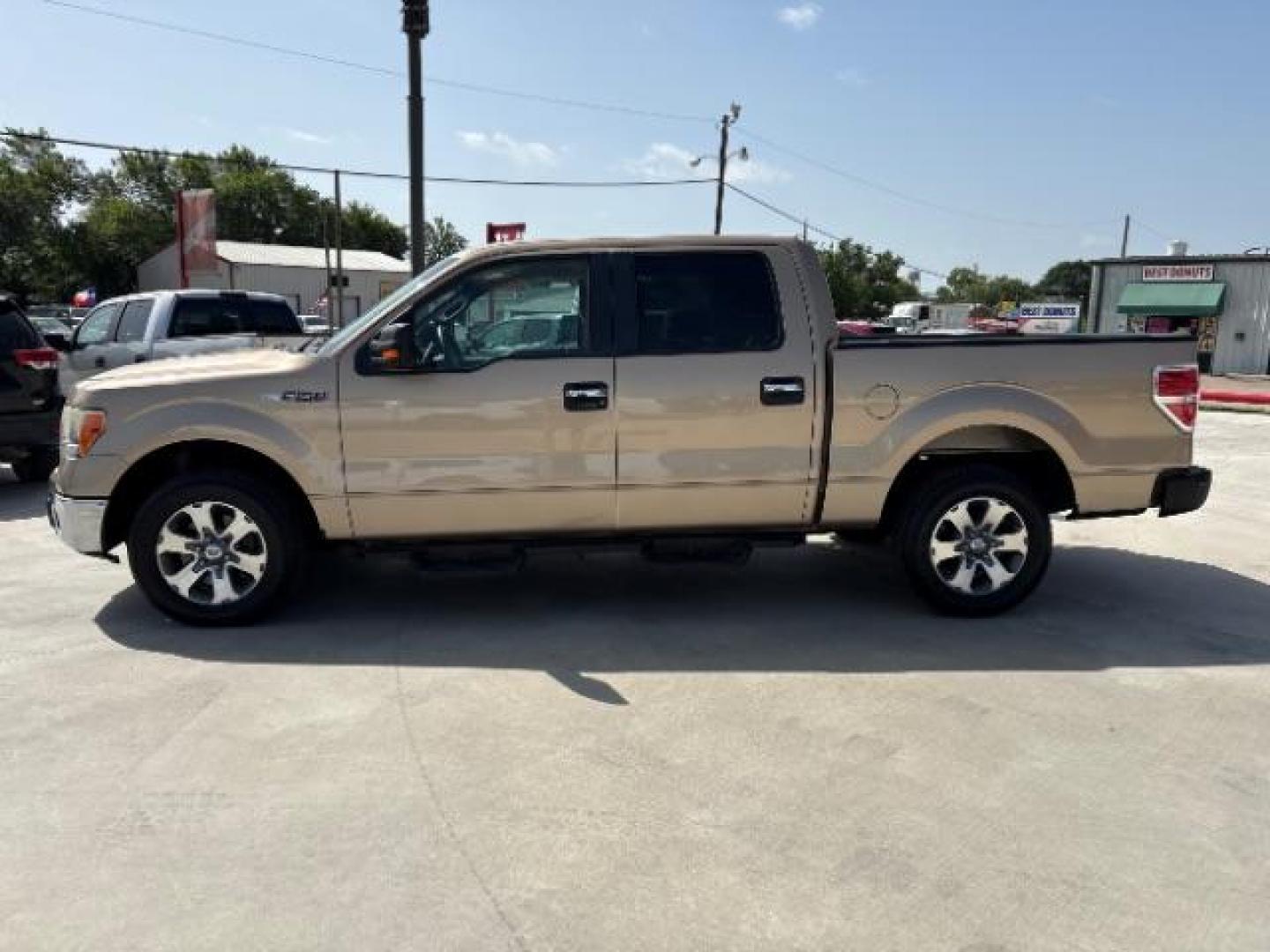 2014 Pale Adobe Metallic Ford F-150 XLT (1FTFW1CF1EK) with an 5.0L V8 engine, located at 12182 Garland Rd, Dallas, TX, 75218, (214) 521-2040, 0.000000, 0.000000- Photo#1