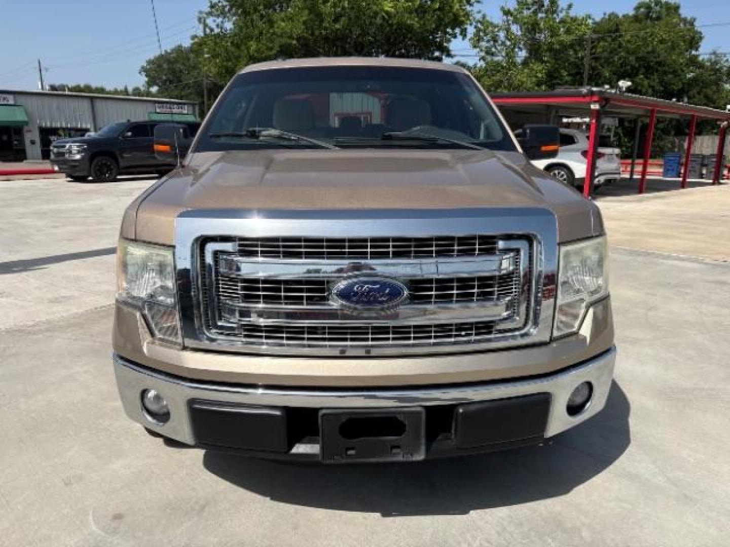 2014 Pale Adobe Metallic Ford F-150 XLT (1FTFW1CF1EK) with an 5.0L V8 engine, located at 12182 Garland Rd, Dallas, TX, 75218, (214) 521-2040, 0.000000, 0.000000- Photo#3
