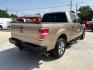 2014 Pale Adobe Metallic Ford F-150 XLT (1FTFW1CF1EK) with an 5.0L V8 engine, located at 12182 Garland Rd, Dallas, TX, 75218, (214) 521-2040, 0.000000, 0.000000- Photo#4