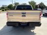 2014 Pale Adobe Metallic Ford F-150 XLT (1FTFW1CF1EK) with an 5.0L V8 engine, located at 12182 Garland Rd, Dallas, TX, 75218, (214) 521-2040, 0.000000, 0.000000- Photo#5