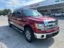 2013 Ruby Red Metallic Tinted Clearcoat /Gray Cloth 40 20 40 Ford F-150 XLT (1FTFW1EF7DK) with an 5L V-8 DOHC engine, 6-Speed Automatic transmission, located at 12182 Garland Rd, Dallas, TX, 75218, (214) 521-2040, 0.000000, 0.000000- Photo#0