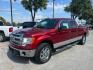 2013 Ruby Red Metallic Tinted Clearcoat /Gray Cloth 40 20 40 Ford F-150 XLT (1FTFW1EF7DK) with an 5L V-8 DOHC engine, 6-Speed Automatic transmission, located at 12182 Garland Rd, Dallas, TX, 75218, (214) 521-2040, 0.000000, 0.000000- Photo#2